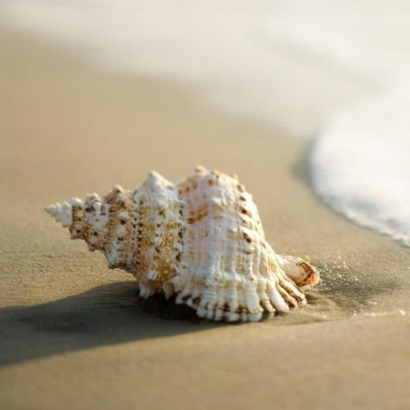 Meet your Posher, Malgorzata - Picture 1 of 1